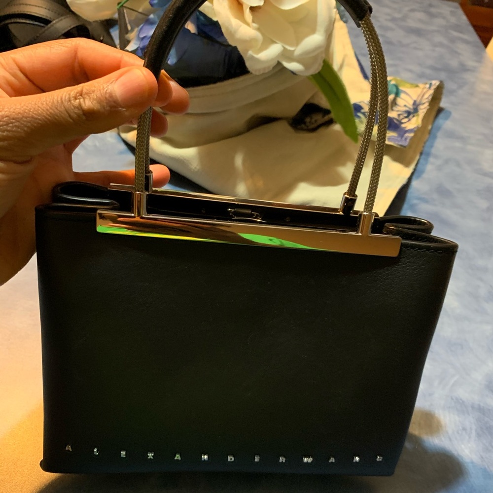 A beautiful Alexander Wang everyday bag.